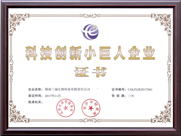 科技創新小巨人